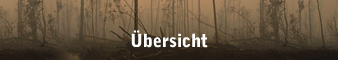 SPIEGEL ONLINE