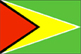 Flag of Guyana